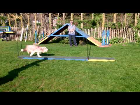 Natta RC whole of session 6 11/10/15