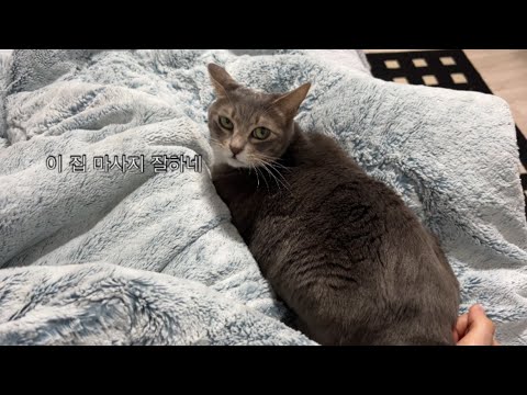 집사야 궁둥이나 뚜들겨라