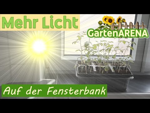 , title : 'Mit diesem Trick hast Du mehr Licht auf der Fensterbank | Die Pflanzen wachsen gerade und schneller!'