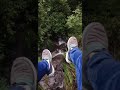 A Shot Clip From Our Recent Trip To Yercaud Vicki Vlogs Shorts Yercaud Trip Monsoon Ride