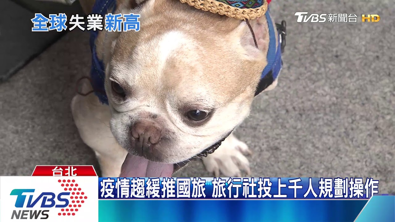 台失業率緩增、無薪假卻暴增　觀光推「寵物國旅」自救