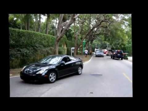 13 January, tree snags truck