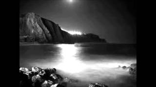 Willy DeVille - The Moonlight Let Me Down