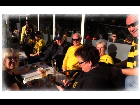 IF Elfsborg - Hammarby IF 1-1.