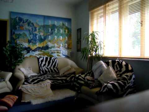 fujara november pomaly ovecky 2010