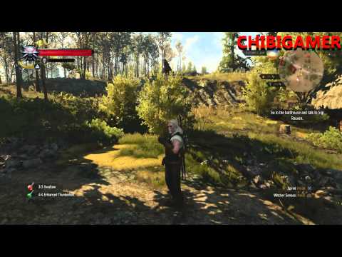 Witcher 3 Part66 Let's play