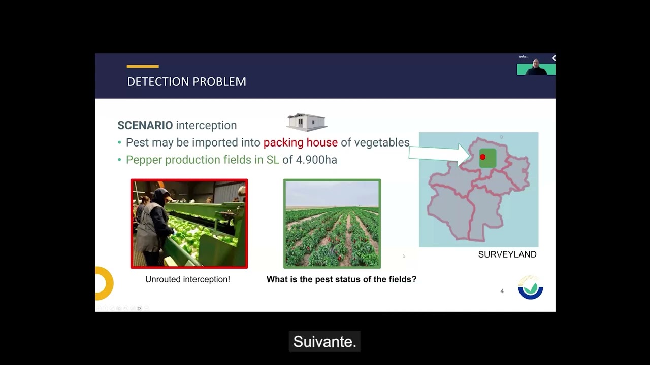 Statistically sound survey of Anthonomus eugenii - French subtitles