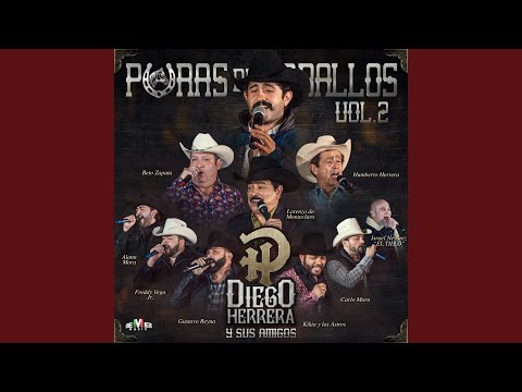 Le Pusieron 7 Leguas