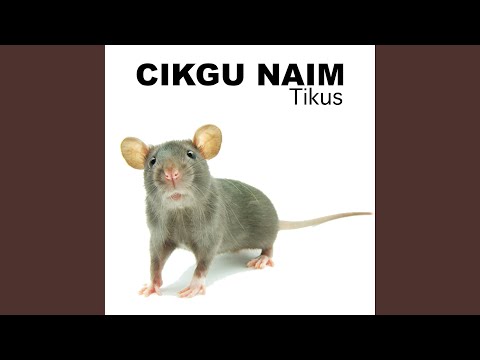 Apa Khabar Yang Berhormat