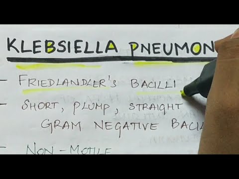 A klebsiella pneumoniae kenet férfiakban
