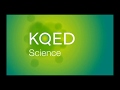 KQED Logo History More Updated Version