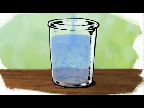 1st Planting Seeds: The Power of Mindfulness Film Trailer