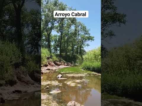 Arroyo Cabral 🌿 - LA SUBIDA #shorts