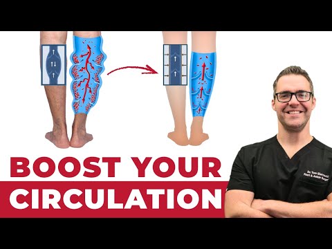 Butcher s Broom Extract Supplement Dosage Side Effects