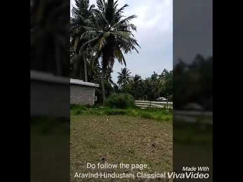 Avanalli ivalilli - shhhh