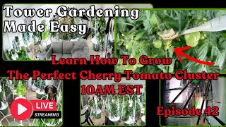 Tower Gardening Made Easy LIVE CAM #towergarden #hydroponicgardening #garden #farm #aeroponic