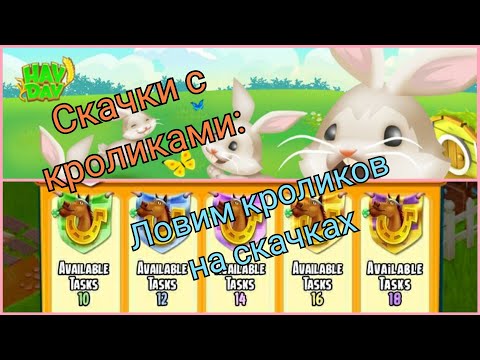 Hay Day. Скачки с кроликами: ловим кролика