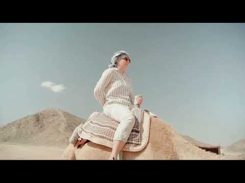 Top 30 Amazing Facts About Camels   Interesting Facts About Camels