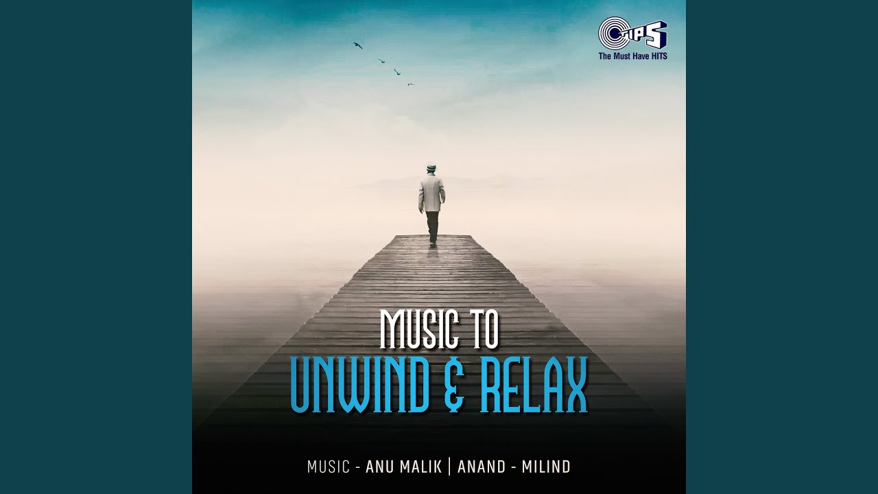 Dil Mere Naa (Lofi Mix) (Instrumental)