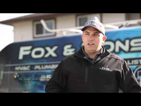 Fox and Sons Business profile