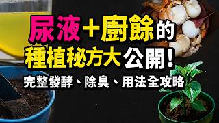 尿液＋廚餘製成天然肥，效果比化肥更猛！