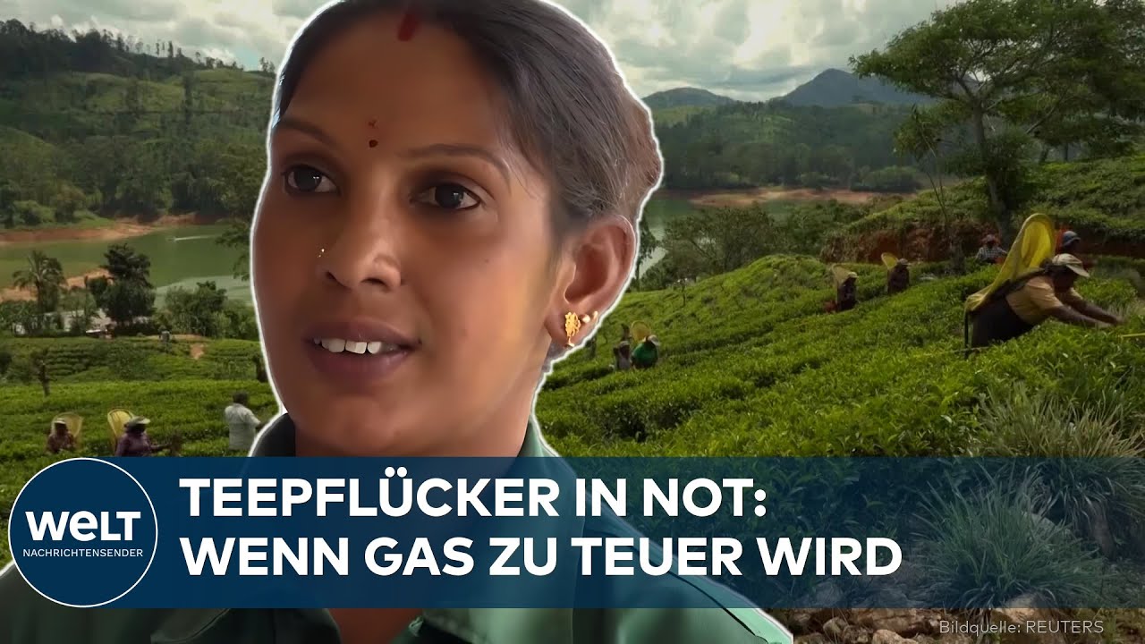 IRAN-KRIEG: Wie Teepflücker in Sri Lanka den Nahostkonflikt im eigenen Kochtopf spüren
