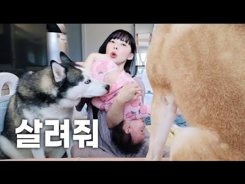 아이콘