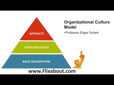 image-What is a culture diagnostic?