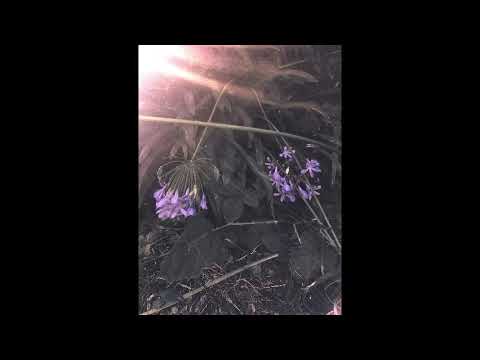 {FREE} Post Malone X Migos type beat "So Far Away" 2019