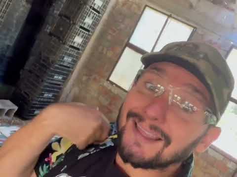 Ver video