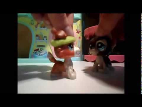 Leben & Tod Part 7 (Das Haus)