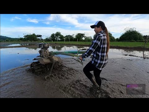 EP297-P1 - Meses, Napasabak sa Putikan | Tanim-Palay at Hand Tractor