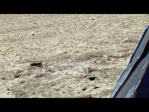 Manasarovar Camping by Arun Vasanthi V-Clip02 of 42