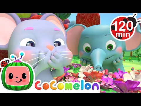 The Hiccup Song 😆 | COCOMELON 🍉 | Lullabies & Nursery Rhymes for Kids