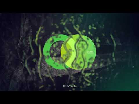 WO-CORE - Tays // Area Verde