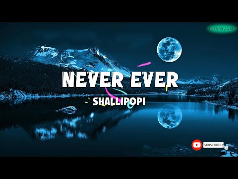 Shallipopi   –  Never Ever (Lyric Video) | BeatBlend Jams