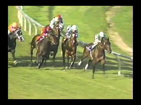 1993 Matriarch Stakes & Citation Handicap - ESPN Broadcast