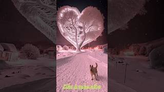 Download lagu Daphliwale Daphli Baja | Sargam | Rafi & Lata | #ytshorts #prakashtimepass mp3