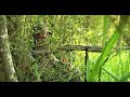 Public Land Turkey Hunt - Louisiana - Sportsman TV Full Episode