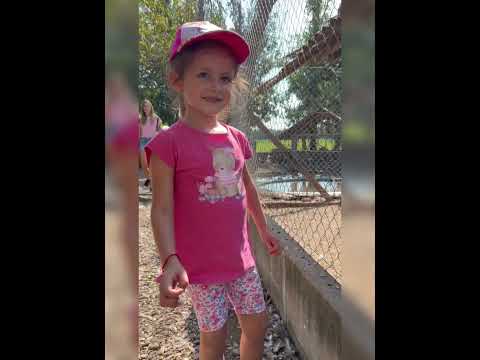 Un día en Granja La Serena