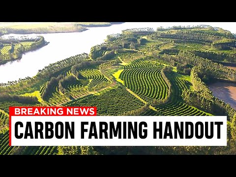 , title : 'NEW Projects That Will KICKSTART Carbon Farming Projects!'