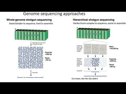 MCB 182 Lecture 2.3 - Shotgun sequencing
