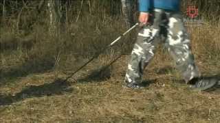 preview picture of video 'Zimowy trening Nordic Walking w Puszczy Zielonce'