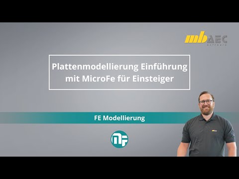 Plattenmodellierung Einführung mit MicroFe für Einsteiger - FE Modellierung