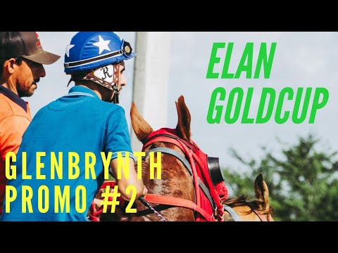 GLENBRYNTH ELAN GOLDCUP PROMO (2)