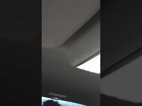 Traicho Maradona & Zvonko Demirovich