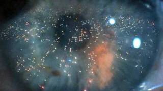 One more kiss, dear (LYRICS) - Blade Runner (Vangelis)