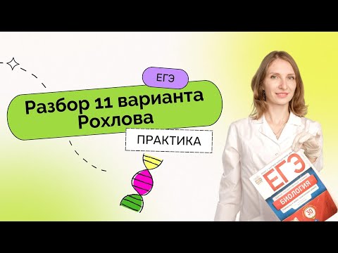 Разбор 11 варианта из сборника Рохлова для ЕГЭ по Биологии 2023