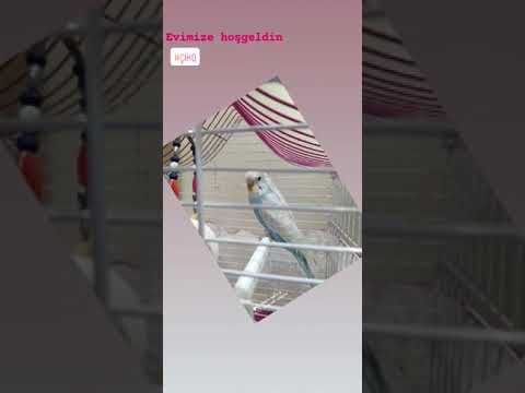 💙17.11.2020-17.11.2021💙