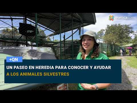 Un paseo en Heredia para conocer y ayudar a los animales silvestres
